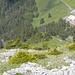 Auch eine Aufstiegsvariante: mit Steinmandli markiert von der Seilbahn zum Rocher du Midi
