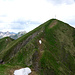 Auf dem Vorgipfel, des Hochbergs - oh Schreck es geht nochmals 10m bergab  ;-)