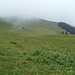 Alp Grosse Bäder und das Bäderhorn gut versteckt im Nebel