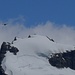 Cerro Solo mit einem Condor