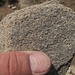 Nach all der Biologie nun ein wenig Geologie. Irgend ein Sandstein?

Gemäss "Geologische Karte der Schweiz 1:500'000" welche auf map.geo.admin.ch überblendbar ist, handelt es sich, wie könnte es auch anders sein, um "Hundsrück-Flysch"
