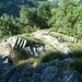 steile Steintreppen unterhalb Arnau