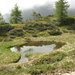 Hochmoor