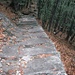 Tessinerweg