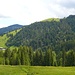 Der Gelbhansekopf ist der Hausberg von Balderschwang - unten links die Bodenseehütte