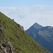 eine Gams vor dem mächtigen Kegel der Kreuzspitze. Sie wundert sich bestimmt, daß hier in dieser Einsamkeit ein Zweibeiner herumläuft.
