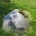 Flauschige Sommerwölkchen spiegeln sich in einem Wassertümpel.
