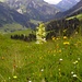 ... und nochmal mit Umgebung, Tal der Bregenzer Ache