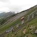 Niesenbahn