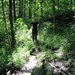 Shaggy irgendwo im Wald