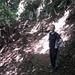 Shaggy wieder irgendwo im Wald
