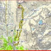 <b>Tracciato GPS San Bernardino - Piz Uccello</b>.