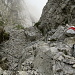 Abstieg vom Altmannsattel zum Rotsteinpass