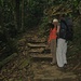 Wanderung in ursprüglichem Regenwald im Cuc Phuong Nationalpark 200 km südlich von Hanoi