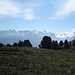 solito Adula sullo sfondo