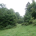 Jura-Wanderweg über nasse Wiesen