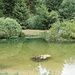 ein Seelein ohne Namen oberhalb Malleray