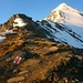 Ein gut markierter Bergweg führt vom Rossbodenjoch über den Nordgrat auf den Muttler (3293,0m).