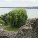 Blick von der Burgruine Schopflin zum schweizer Ufer