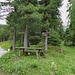 Kaintalegg/Weisser Hirsch 1205m - Ab hier geht es auf schönen Forstwegen zurück ins Laintal