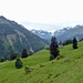 Blüemlisalpmassiv wolkenverhangen