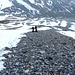 Aufstieg zum Gletscher