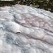 Rötlich gefärbter Altschnee - [http://de.wikipedia.org/wiki/Blutschnee Blutschnee] 