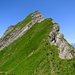 [u Lena] nimmt den Südwestgrat in Angriff. Die erste, kurze Kletterstelle befindet sich in der Bildmitte unterhalb des vermeintlichen Gipfels, wo das Gelände kurz von Gras in Fels übergeht.