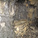 Wasserfassung mitten im Berg