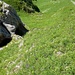Blick zurück. Bildmitte die Kletterstelle im lll Grat. Links die Höhle