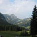 Widderfeld
