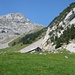 Alp Matt