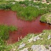 Durch Algen rot gefärbter See.