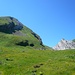 Steil, aber gut begehbar - der Frümsel über blühenden Sommerwiesen von Torloch