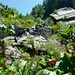 Die Ruinen von Valsairöu im Val Niva