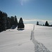 Près de la Borsatte, le Mont Blanc en arrière-plan