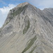 La Tsavre, mit der steilgrasigen Aufstiegsflanke (durch die auch bisweilen per Ski abgefahren wird)