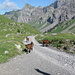 Blick zu Le Coin und Pointe d'Aussel