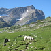 Sex des Branlettes und (dahinter) der Spitz der Pierre qu'Abotse