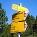 Richtung Valbella und Funtana da S-charl