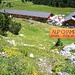 uns plötzlich taucht die Alp Champatsch auf, wo natürlich verpflegt wird