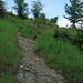Steil geht's durch den Wald nach oben.