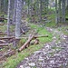 Ein sehr "rustikaler" Weg.