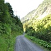 Schotterweg ins Etzlital.
