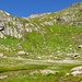 Wollgraswiese in der Hinter Spillaui.