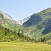 Blick ins obere Fellital zur Fellilücke, auch ein wunderbarer [http://www.hikr.org/tour/post15353.html Berglauf]!