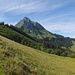 Vue sur le Moléson