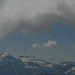 Gleitschirmflieger geniessen den Aufwind über dem Rhonetal