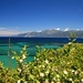 Blick zum Cap Corse