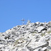 Cima di Gana Bianca (2842 m), croce ed ometto di vetta